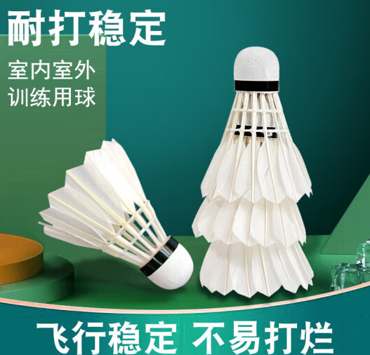 羽毛球耐打12支（计价单位桶）