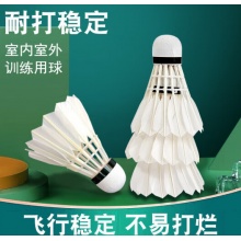 羽毛球耐打12支（计价单位桶）